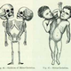 Image for article titled A Short, Freakish History of Mothers Harming Their Children For Money